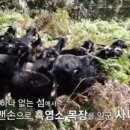 울릉도식품 - 포항시 북구 | 울릉도식품