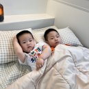 간절곶 캠프펜션 3 이미지