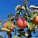 얼음골주차장 화장실 이미지