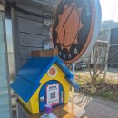 공기1리마을회관 | 호미반도 해안둘레길 흥환1리마을회관-&gt;모감주 군락지 걷기(초보자 코스:처음 가는 분 추천)