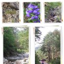 금강의하루민박 이미지