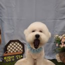 딩동댕 살롱 이미지