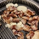 대세박목살신정네거리역점 | 대세박목살 신정네거리역점 || 육즙 가득한 목살과 곤드레밥의 만남, 신정네거리 고기 맛집 방문 후기