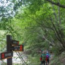 대성암 갈림길 이미지