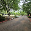 숯고개공원 이미지