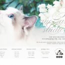 교감스튜디오