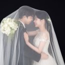 씨앤엘팜 이미지