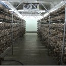 상가농장 이미지