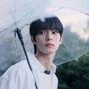 최립우 카카오 검색결과