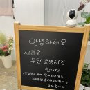 엔젤로니아플라워 - 14637 | 엔젤로니아플라워