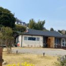 하얀고래 in 백야 이미지