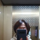 머리할때 됐다 - 수성구 | 머리할때 됐다