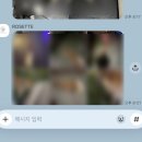 버블펫쌀롱 | 호텔]애견동반 룸, 펫 트윈룸 오션뷰 후기, 얼리체크인, 바다전망 방 후기, 로젯펫살롱 놀이방,애견동반...