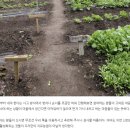 치유농장 운영 사례 . 아쿠아팜, 농가카페