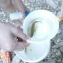 청평 물소리 펜션 이미지