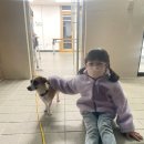 일비농장 이미지
