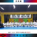 용인대합기도주짓수