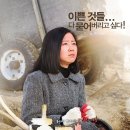 홍당무 - 안산시 단원구 고잔로 76 | 홍당무