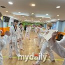 호키태권도 이미지