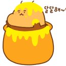 돼지마루 이미지