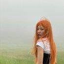 멜로우오렌지 이미지