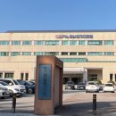 은행나무길(경제진흥원앞) 이미지