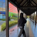 세븐일레븐안산충장로점 | #1편 🇯🇵 In Japan / 3박 4일 일본여행 / 오사카/ 먹방