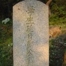시용(時鎔) 이미지