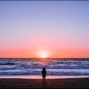 동해바다 이미지