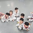 도원태권도체육관 네이버블로그