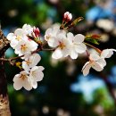 행복한사람들 이미지