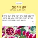 김윤식농장 이미지