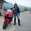 영동어죽 이미지