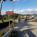 판관오리 이미지