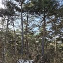 창녕 화왕산 자연휴양림
