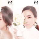 윙스(wings)