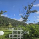 동천수변생태공원 | 🌿 살림남의 리뷰 - 대구 힐링 산책 명소, 동명지 수변생태공원 후기