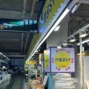 팔공수산 이미지