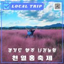 천일홍축제 | 양주 나리농원 천일홍축제 방문후기 주차 개화상태
