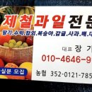 싱싱청과 이미지