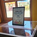 6개월 아기랑 제주신화워터파크와 테마파크 다녀오기-구명조끼,선베드요금,푸드코트 정보