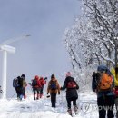 내일날씨 이미지