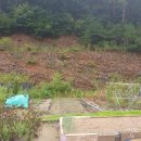 김진기공인중개사사무소 이미지