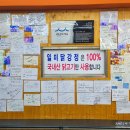 영월세무서 이미지