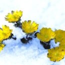 술렁술렁 이미지