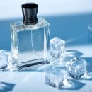 디에스엠 이미지