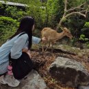 백호베드 | 한국에서 온 세번째 손님과(D+145~ D+152)