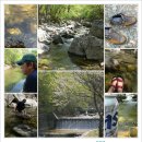 자리주삼PC 이미지