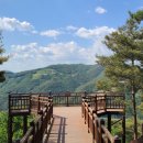 소백산자연휴양림 네이버블로그