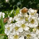 복동농장 이미지